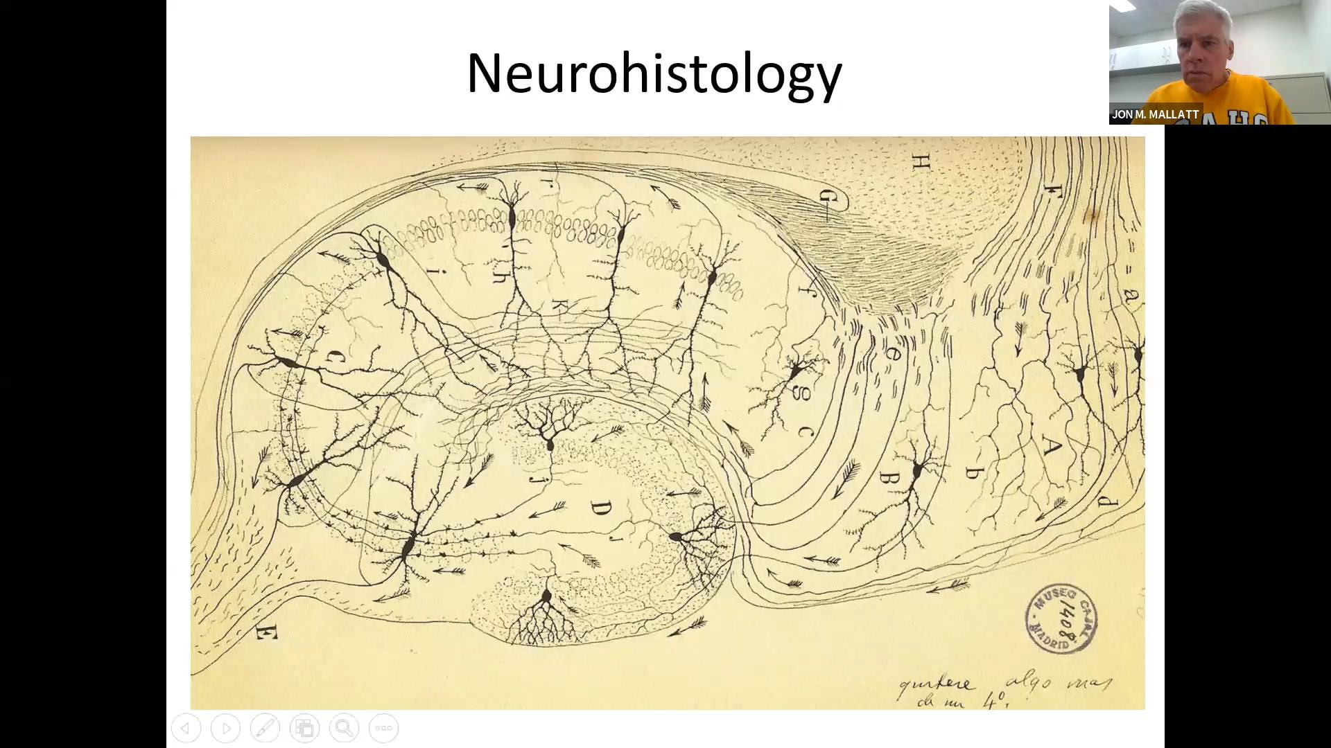Nervous System Histology Part 1